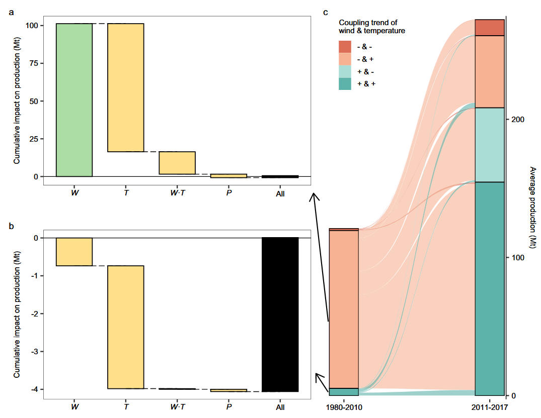 Figure abstract of article Decadal changes in wind speed have offset and then aggravated the impact of warming on maize production in China since 1980